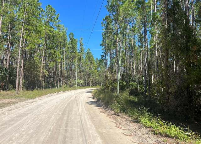 Property at 00 NW Camp Azalea Rd, Chiefland, FL 32626