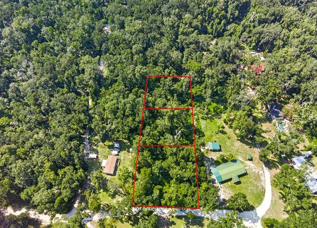Property at NE 197th Ave, Old Town, FL 32680