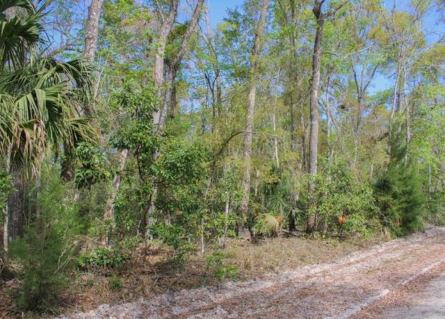Property at NE 812th St, Old Town, FL 32680