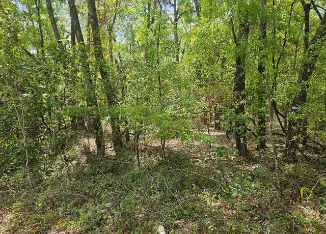 Property at TBD NW 63rd Ter, Bell, FL 32619