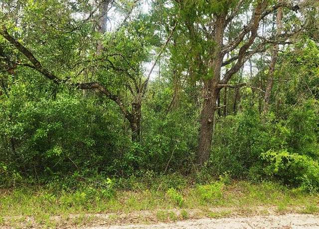 Property at NE 280th Ave, Old Town, FL 32680