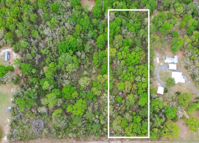 Property at 00 NE 435th Ave, Old Town, FL 32680