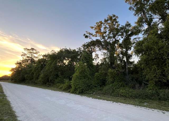 Property at NE 481st Ave, Old Town, FL 32680