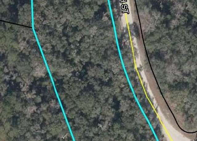 Property at 3 acres NE 290th Ave, Old Town, FL 32680