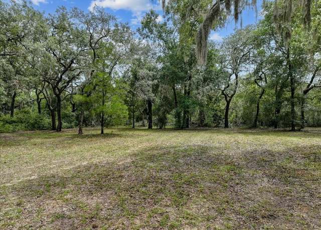 Property at TBD SW 279th Ave, Steinhatchee, FL 32359