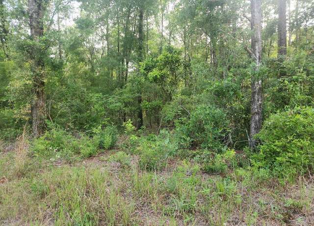 Property at TBD NE 835th St, Old Town, FL 32680