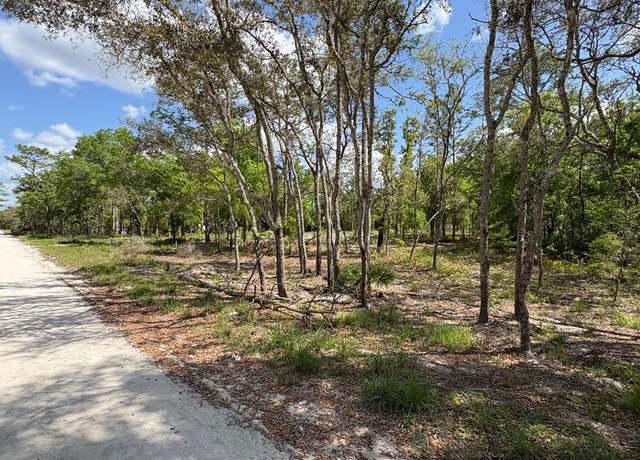 Property at 190th Ave, Old Town, FL 32680