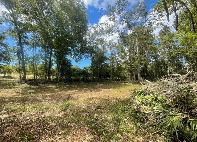 Property at TBD Hwy 361, Steinhatchee, FL 32359