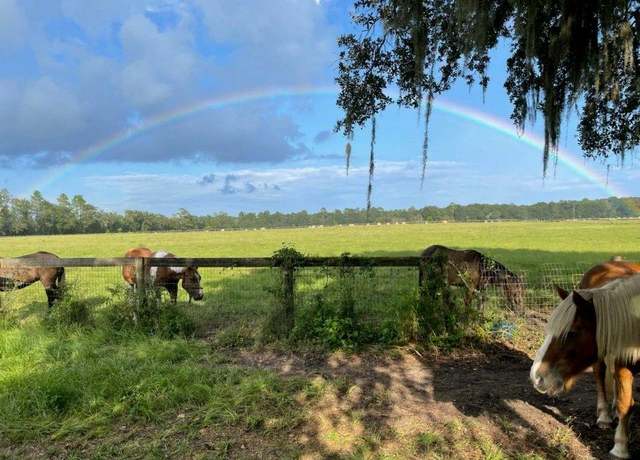 Property at NE 709th Ave, Old Town, FL 32680