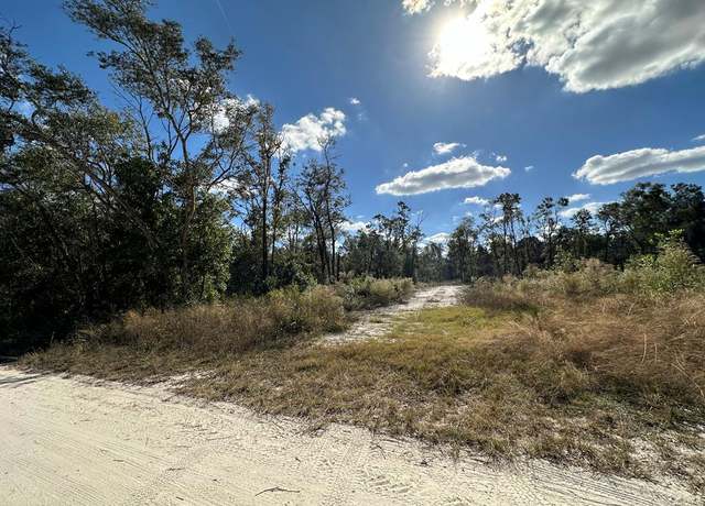 Property at 293 NE 682nd Ave, Old Town, FL 32680