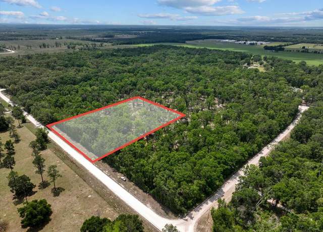 Property at 89th Rd, Mcalpin, FL 32062