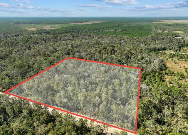 Property at LOT 13 SE 203rd Ave, Old Town, FL 32680