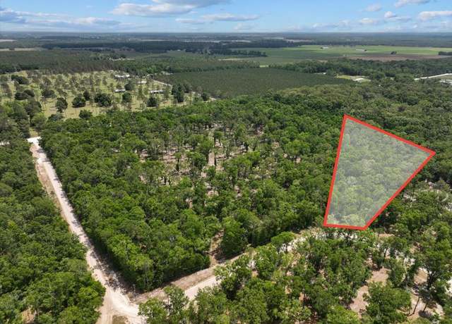 Property at 186th Ter, Mcalpin, FL 32062