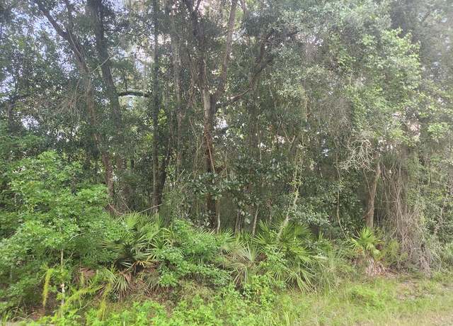 Property at NW 86th St, Chiefland, FL 32626