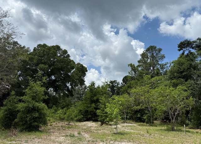 Property at State Rd 349n, Old Town, FL 32680