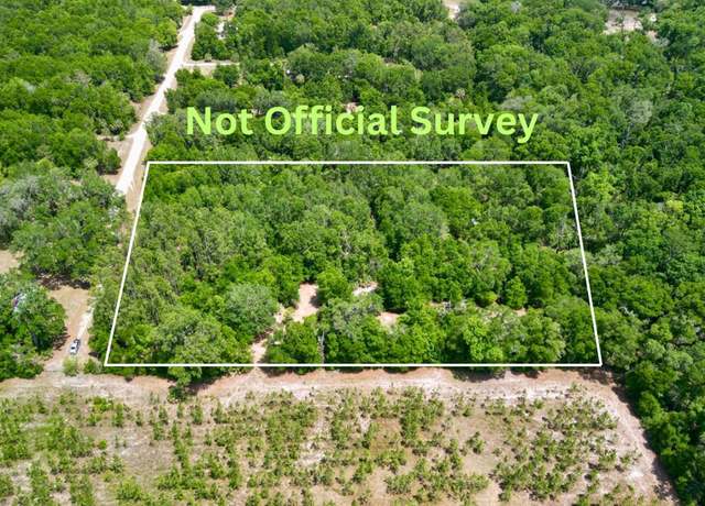 Property at NE 247th Ave, Old Town, FL 32680