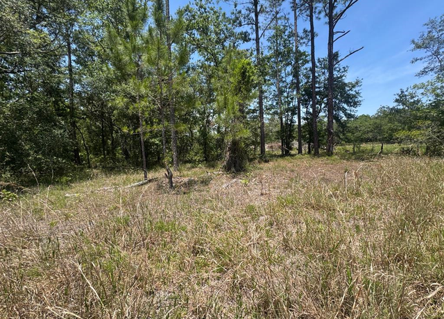 Property at NE 126th St, Bronson, FL 32621