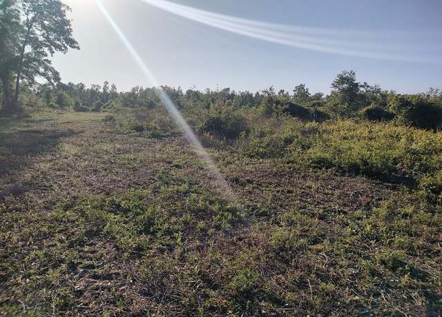 Property at County Road 351, Mayo, FL 32066