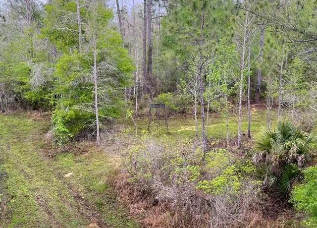 Property at 00 NW 42nd Ter, Chiefland, FL 32626