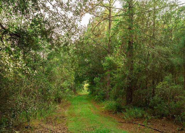 Property at 00 NW 42nd Ter, Chiefland, FL 32626