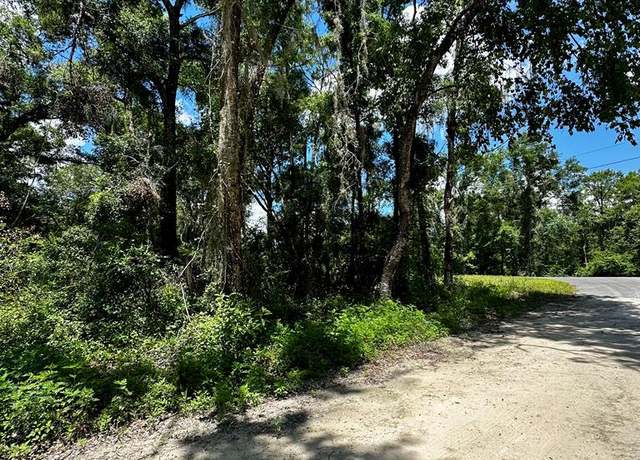 Property at 0 SE Hwy 317, Old Town, FL 32680