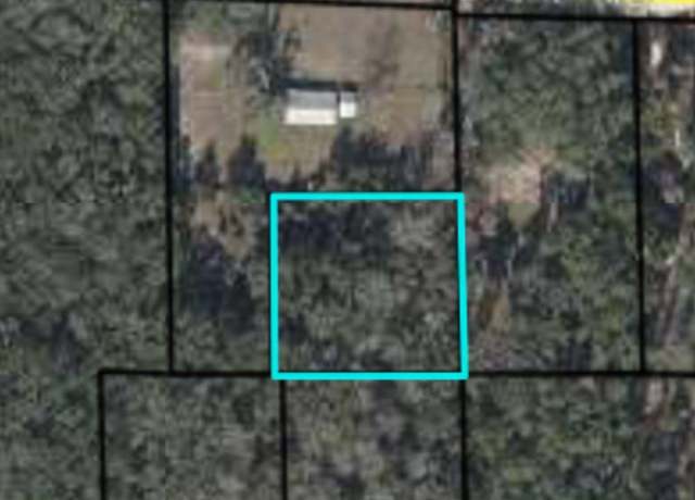 Property at NE 356th Ave, Old Town, FL 32680