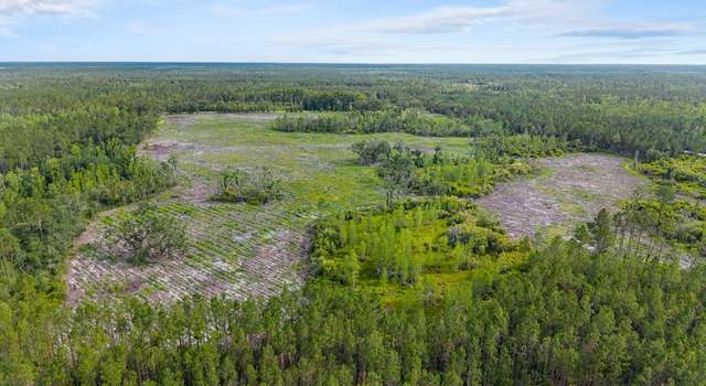 Photo of SE County Road 360, FL 32066