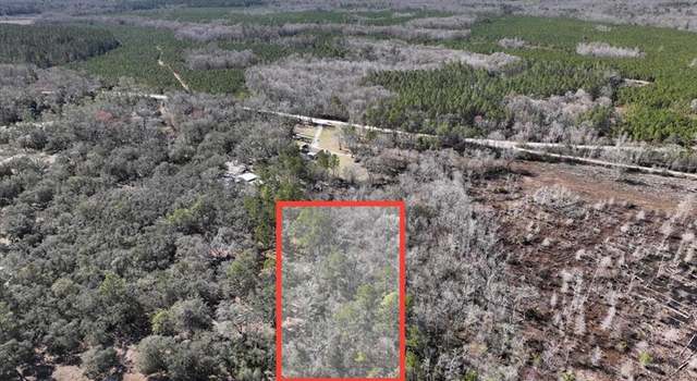 Photo of 0 NE 295 Ln, Cross City, FL 32628