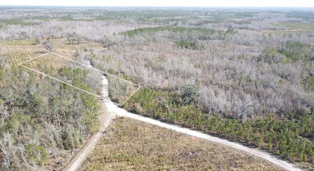 Photo of 0 SE Brushy Hammock, Mayo, FL 32066