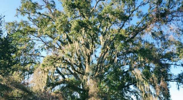 Photo of 0 NE 96th Ave, Archer, FL 32618