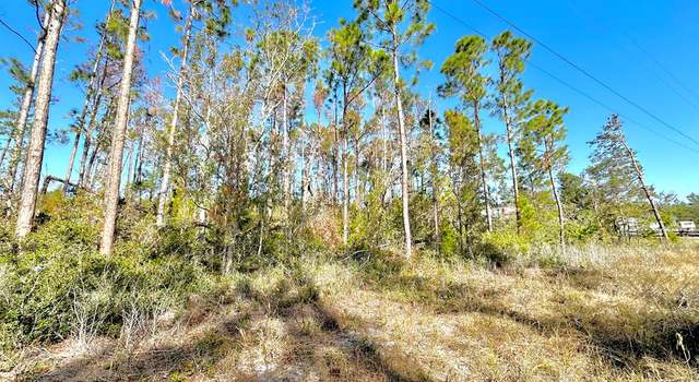 Photo of 0000 NE Oak Pond Cir, Steinhatchee, FL 32359
