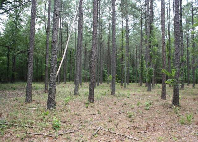 Property at HWY 278 Hempstead 313, Nashville, AR 71852