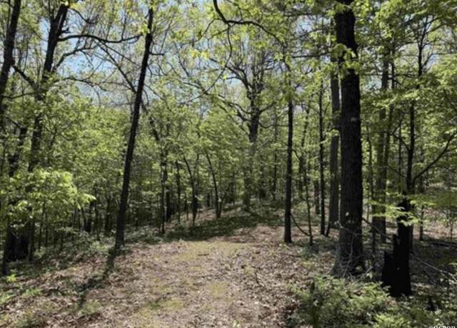 Property at TBD Falling Tree Ln, Flippin, AR 72634