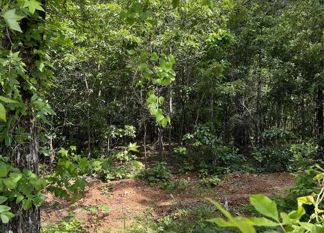 Property at xx lot #1 Rosboro, Glenwood, AR 71943