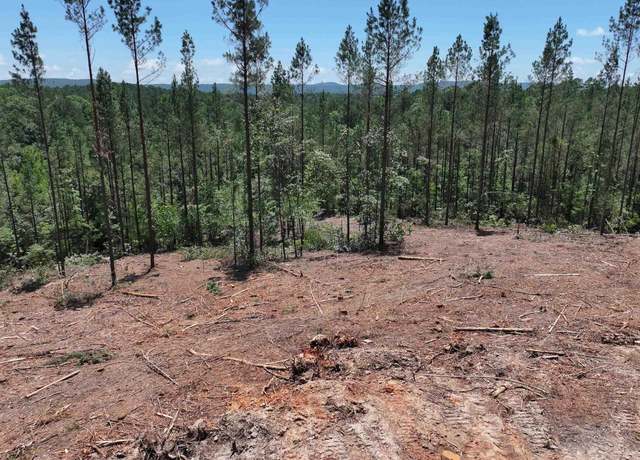 Property at XXX Palmer Mountain Rd Lot 1, Caddo Gap, AR 71935