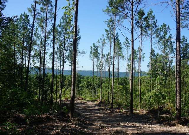Property at XXX Palmer Mountain Rd Lot 1, Caddo Gap, AR 71935