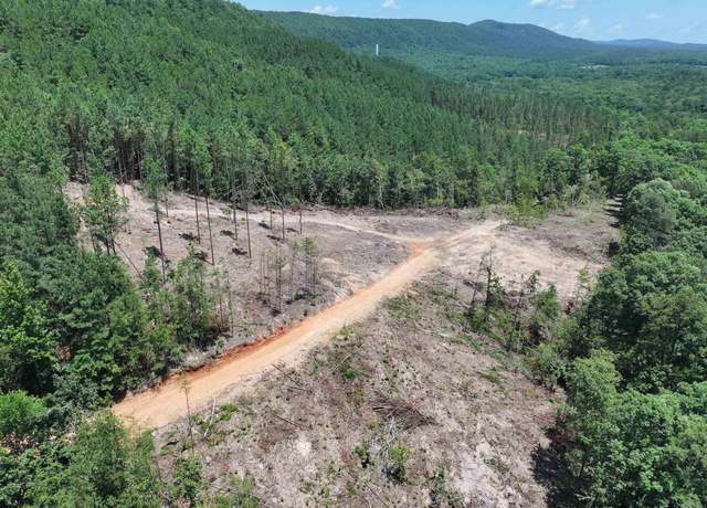 Property at XXX Palmer Mountain Rd Lot 3, Caddo Gap, AR 71935