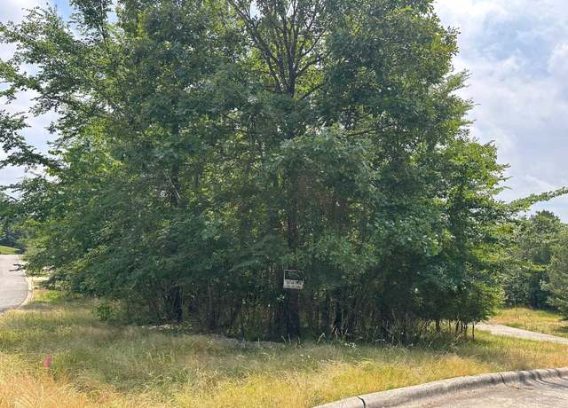 Property at 117 Dellmere Cv Lot 16 Blk 6, Hot Springs, AR 71913