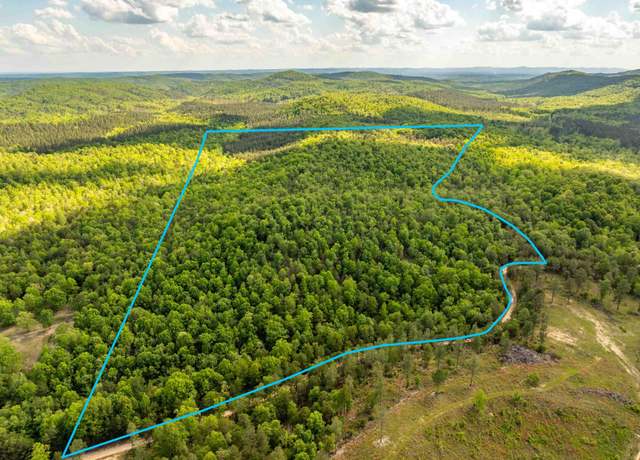 Property at RPID   115120 Cedar Creek Rd, Hot Springs, AR 71901