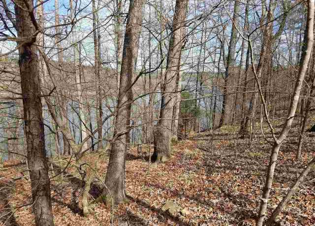 Property at lot 34 Waterfront Ct, Hot Springs, AR 71913