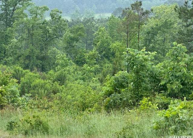 Property at 380 Angel, Amity, AR 71921