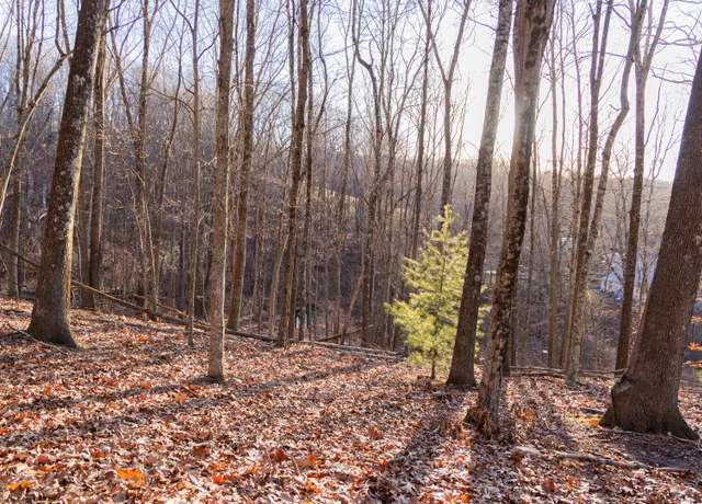 Property at 0 Addison Patch Rd, Hot Springs, VA 24445