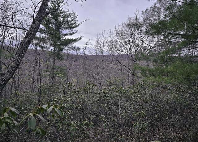 Property at tbd Craig Woods Rd, New Castle, VA 24127