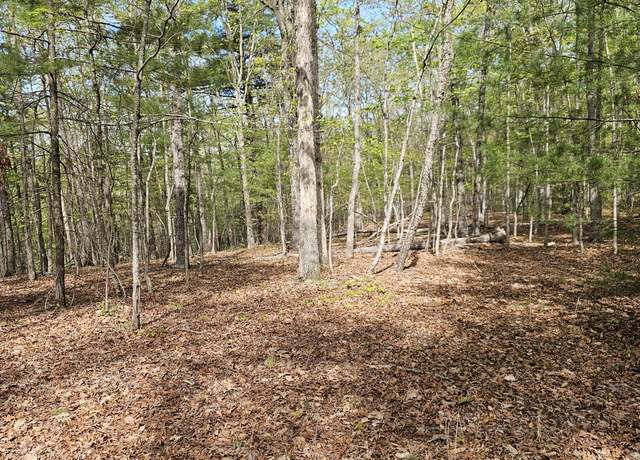 Property at 2.7 acres Elderberry Ln, Buena Vista, VA 24416