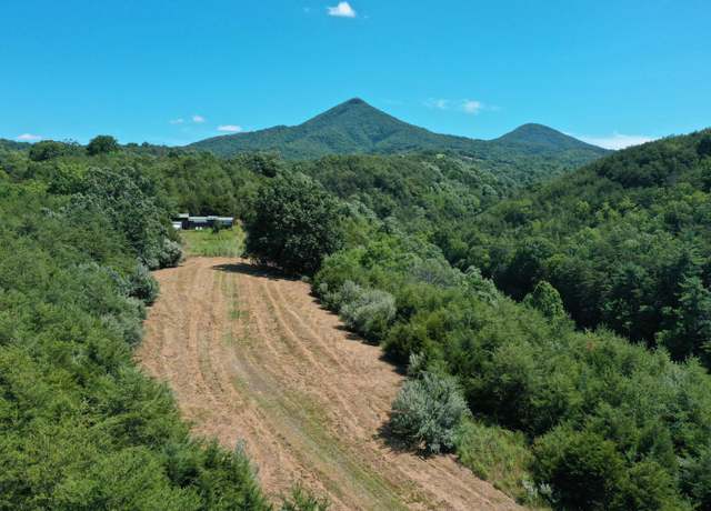 Property at 37 Ac. - Sehorn Hollow Rd, Lexington, VA 24450