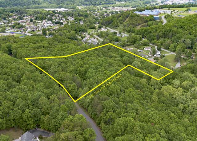 Property at 6.03 Acres Woodland Ave, Buena Vista, VA 24416