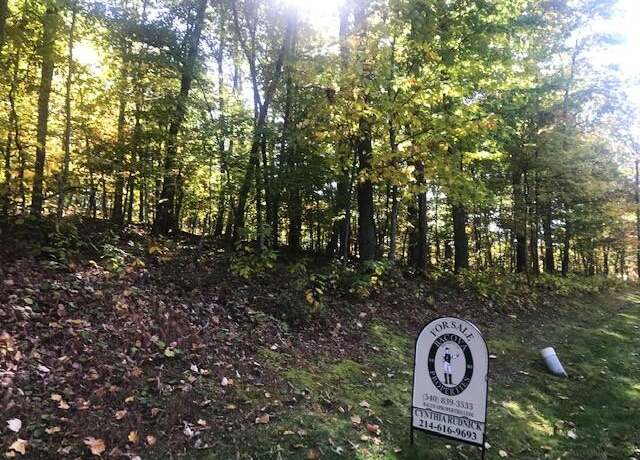 Property at DR #55 North Forest Trl, Hot Springs, VA 24445