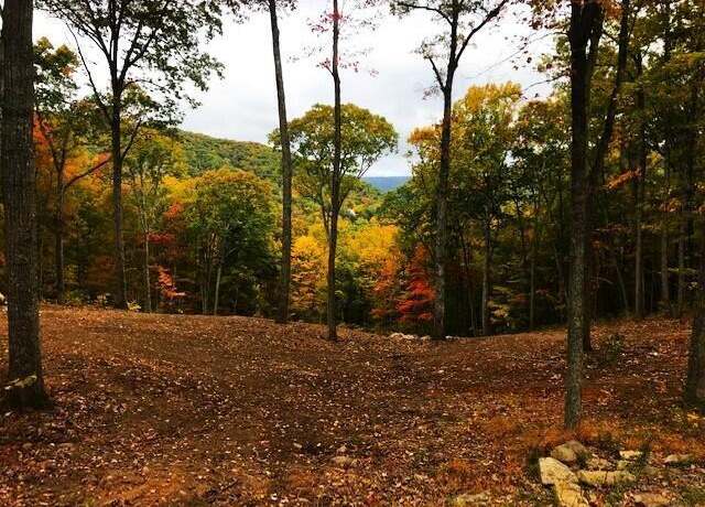 Property at DR #60 North Forest Trl, Hot Springs, VA 24445