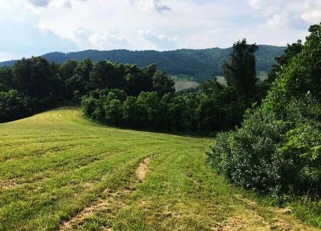Property at OD Lot #31 Old Dairy, Warm Springs, VA 24484