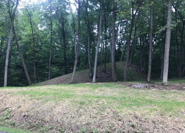 Property at OD 16 Old Dairy Rd, Warm Springs, VA 24484